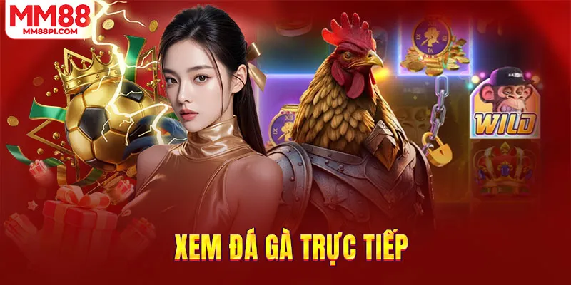 Cá cược đá gà cực bùng nổ