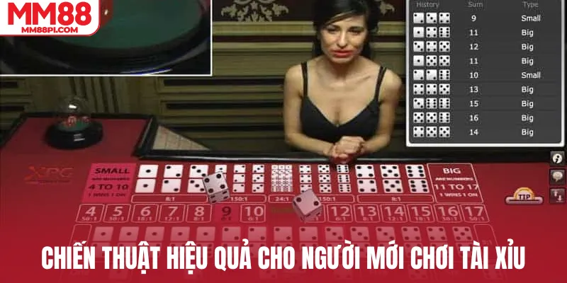 Chiến thuật hiệu quả cho người mới chơi tài xỉu