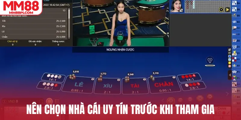 Nên chọn nhà cái uy tín trước khi tham gia